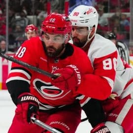 hurricanes red wings gamer shut out (1)