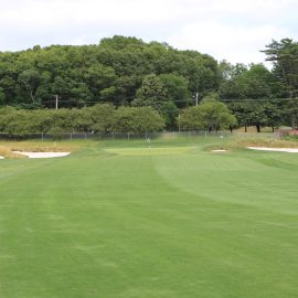 bethpage 1st green