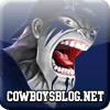 cowboys blog image