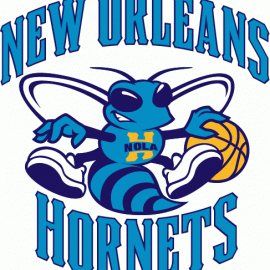 hornets