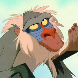 Rafiki