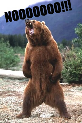 bear_no