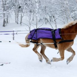 come-on-you-kind-of-wish-this-was-an-olympic-event