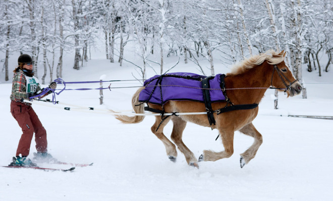 come-on-you-kind-of-wish-this-was-an-olympic-event