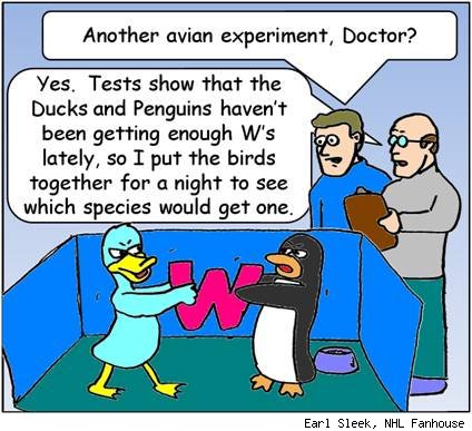 ducks-penguins-experiment