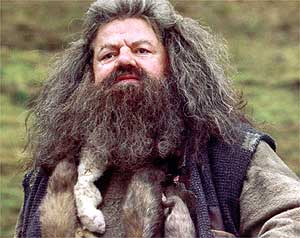 hagrid