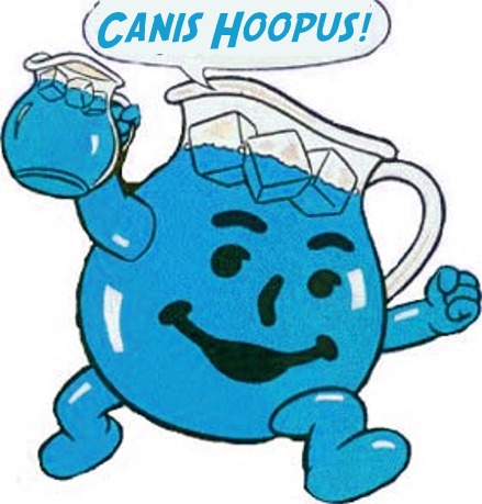 hoopus_kool_aid