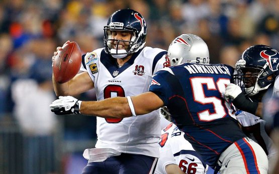 rob ninkovich sack texans