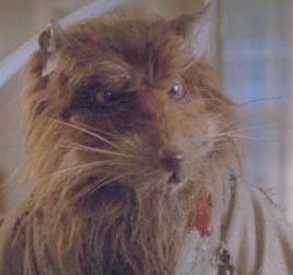 splinter1990movie