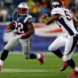 stevan ridley running broncos