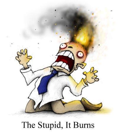 stupid burns