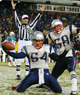 tedy-bruschi-knees