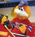 youppi