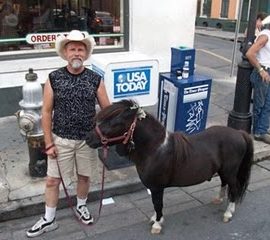 6-21-09_miniature_horse