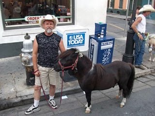 6-21-09_miniature_horse