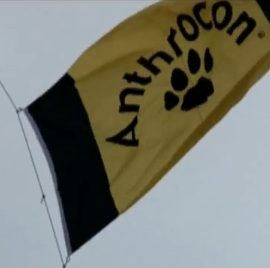 anthroconflag