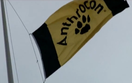 anthroconflag