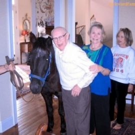 awkwardfamilyphotosminipony