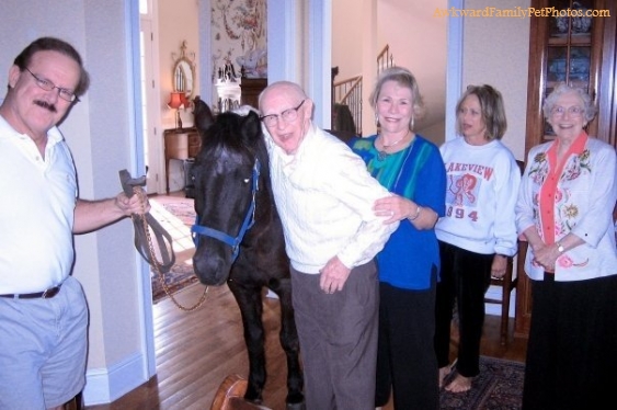 awkwardfamilyphotosminipony