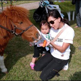 babywithpony