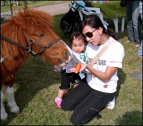 babywithpony