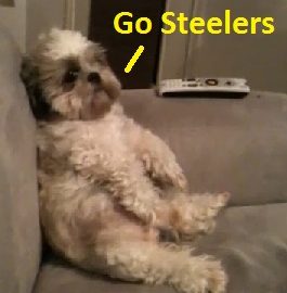 barkleegosteelersdog