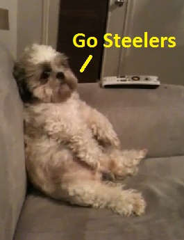 barkleegosteelersdog