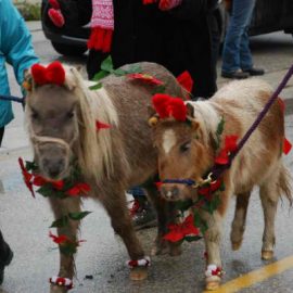 christmas2012parade6rickcanada2