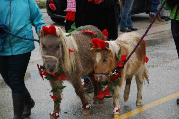 christmas2012parade6rickcanada2