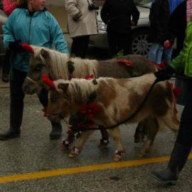 christmas2012parade9rickcanada5