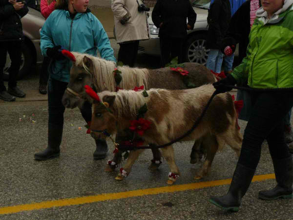 christmas2012parade9rickcanada5