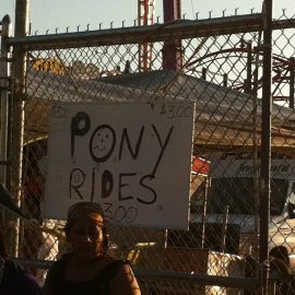 coneyislandponies1sign