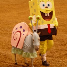 Costume-UnicornerFarm-SpongebobGary