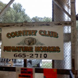 countryclubminihorsessigndoug