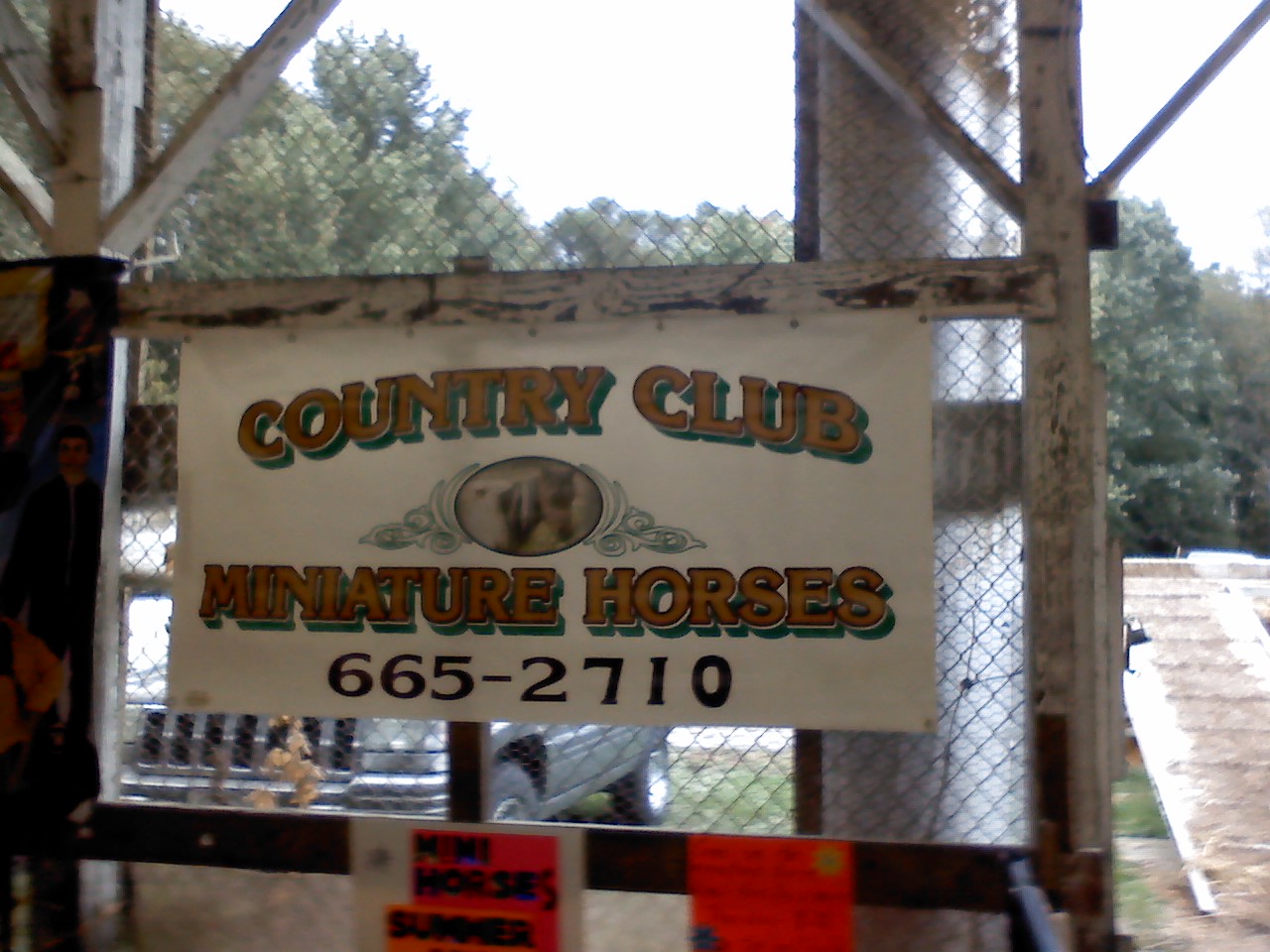 countryclubminihorsessigndoug