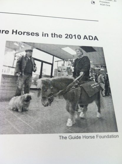 guidehorseada