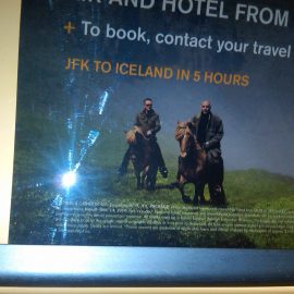 icelandvacationminihorsesmtrain