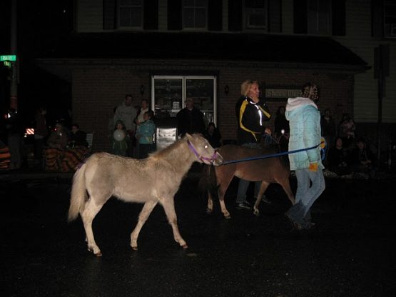 manheimfarmshowparadedoug