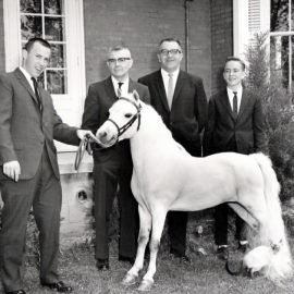 midgethorse1960smadmenish