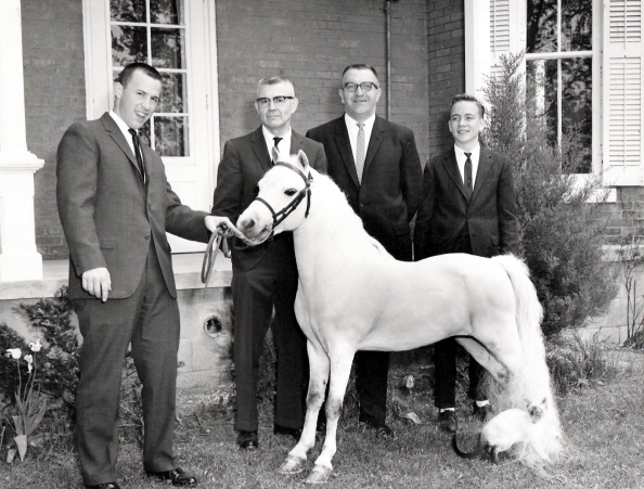 midgethorse1960smadmenish