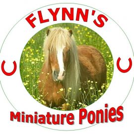 miniature20ponies20logo20v5_02