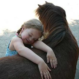 miniature_horse_farms_california-9016