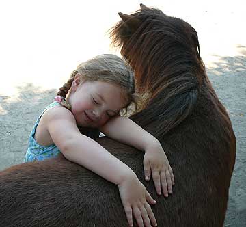 miniature_horse_farms_california-9016