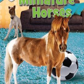 miniaturehorsessoccerballbook