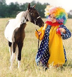 minihorselittleevilclown