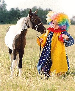 minihorselittleevilclown