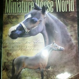 minihorseworld