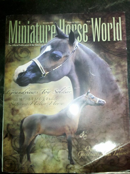 minihorseworld