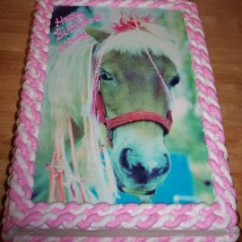 normal_birthday_-_miniature_horse_2