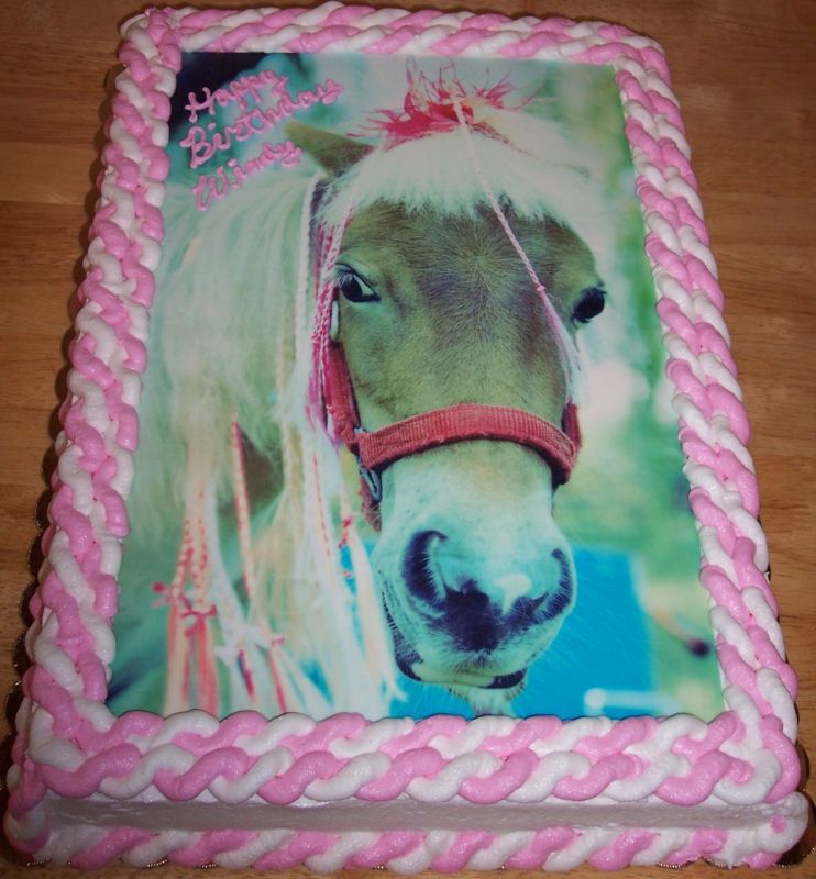 normal_birthday_-_miniature_horse_2